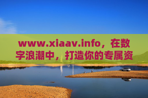 www.xiaav.info，在数字浪潮中，打造你的专属资源港湾，数字浪潮中的专属资源港湾——xiaav.info