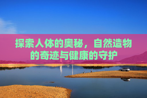 探索人体的奥秘,自然造物的奇迹与健康的守护 探索人体的奥秘,自然造物的奇迹与健康的守护