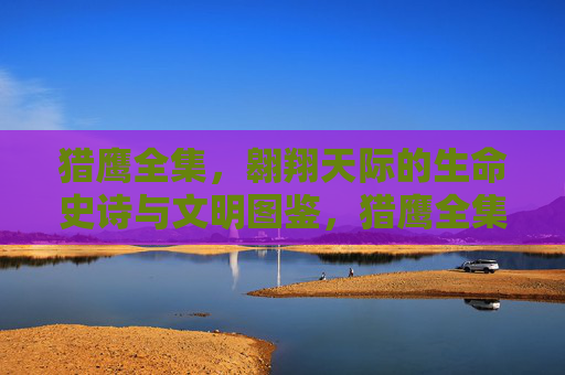 猎鹰全集,翱翔天际的生命史诗与文明图鉴,猎鹰全集,翱翔天际的生命史诗与文明图鉴 猎鹰全集,翱翔天际的生命史诗与文明图鉴,猎鹰全集,翱翔天际的生命史诗与文明图鉴