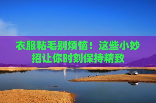 衣服粘毛别烦恼!这些小妙招让你时刻保持精致 衣服粘毛别烦恼!这些小妙招让你时刻保持精致