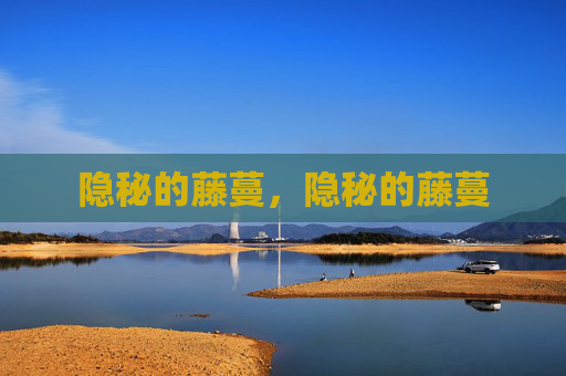 隐秘的藤蔓,隐秘的藤蔓 隐秘的藤蔓,隐秘的藤蔓