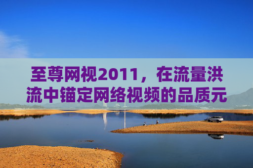 至尊网视2011，在流量洪流中锚定网络视频的品质元年，至尊网视2011，流量洪流中锚定网络视频品质元年