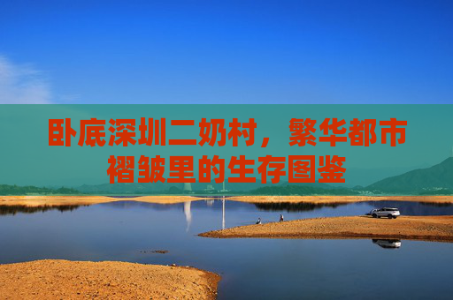 卧底深圳二奶村,繁华都市褶皱里的生存图鉴 卧底深圳二奶村,繁华都市褶皱里的生存图鉴