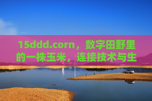 15ddd.corn，数字田野里的一株玉米，连接技术与生活的朴素力量，数字田野里的一株玉米，技术与生活的朴素联结