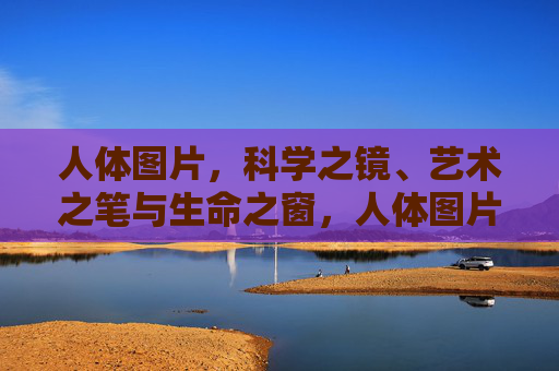 人体图片，科学之镜、艺术之笔与生命之窗，人体图片，科学之镜、艺术之笔与生命之窗