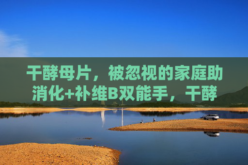 干酵母片,被忽视的家庭助消化+补维B双能手,干酵母片,家庭助消化与补维B的双能手 干酵母片,被忽视的家庭助消化+补维B双能手,干酵母片,家庭助消化与补维B的双能手