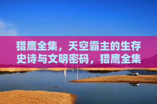 猎鹰全集，天空霸主的生存史诗与文明密码，猎鹰全集，天空霸主的生存史诗与文明密码