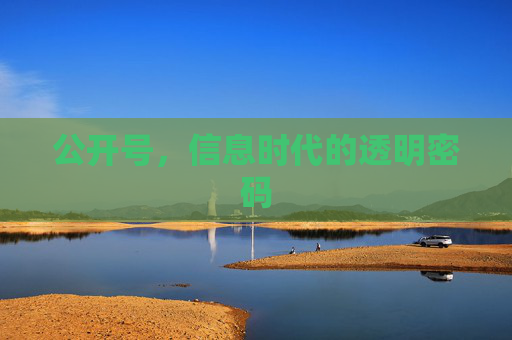 公开号,信息时代的透明密码 公开号,信息时代的透明密码