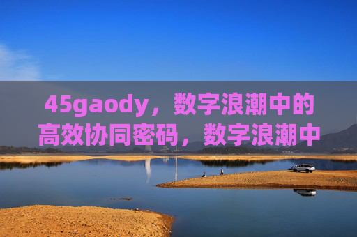 45gaody，数字浪潮中的高效协同密码，数字浪潮中的高效协同密码