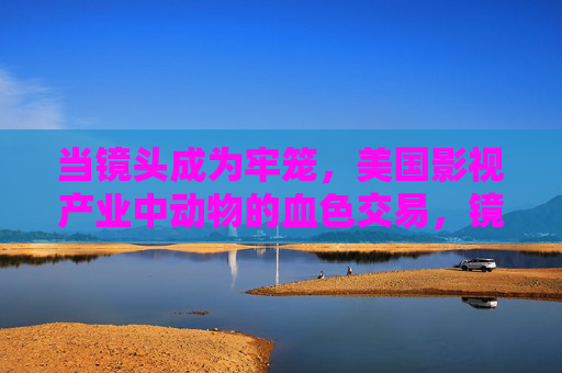 当镜头成为牢笼,美国影视产业中动物的血色交易,镜头牢笼,美国影视产业的动物血色交易 当镜头成为牢笼,美国影视产业中动物的血色交易,镜头牢笼,美国影视产业的动物血色交易