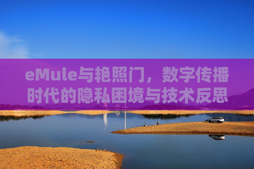 eMule与艳照门，数字传播时代的隐私困境与技术反思，数字传播时代的隐私困境与技术反思——以eMule与艳照门为例