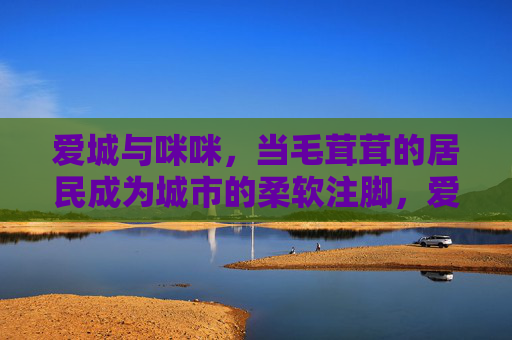 爱城与咪咪,当毛茸茸的居民成为城市的柔软注脚,爱城与咪咪,毛茸茸居民的柔软注脚 爱城与咪咪,当毛茸茸的居民成为城市的柔软注脚,爱城与咪咪,毛茸茸居民的柔软注脚