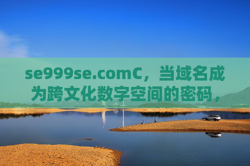 se999se.comС,当域名成为跨文化数字空间的密码,se999se.comС,跨文化数字空间的密码 se999se.comС,当域名成为跨文化数字空间的密码,se999se.comС,跨文化数字空间的密码