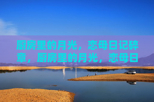厨房里的月光，恋母日记碎章，厨房里的月光，恋母日记碎章
