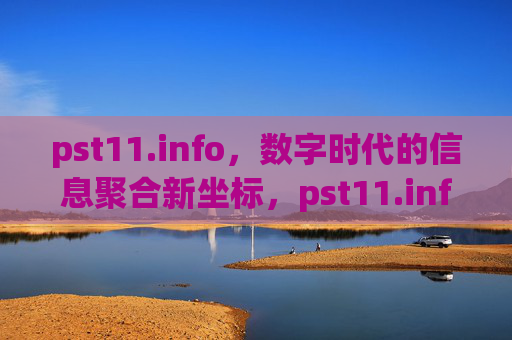 pst11.info，数字时代的信息聚合新坐标，pst11.info，数字时代的信息聚合新坐标