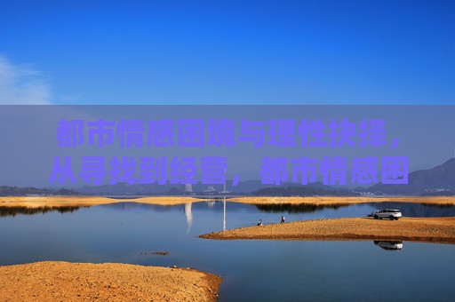 都市情感困境与理性抉择，从寻找到经营，都市情感困境，理性抉择下的寻找与经营