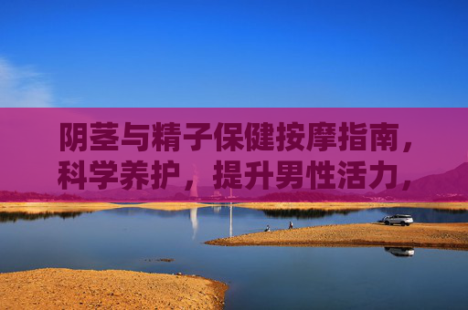 阴茎与精子保健按摩指南，科学养护，提升男性活力，阴茎精子保健按摩指南，科学养护提升男性活力