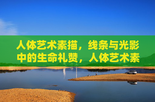 人体艺术素描，线条与光影中的生命礼赞，人体艺术素描，线条与光影的生命礼赞
