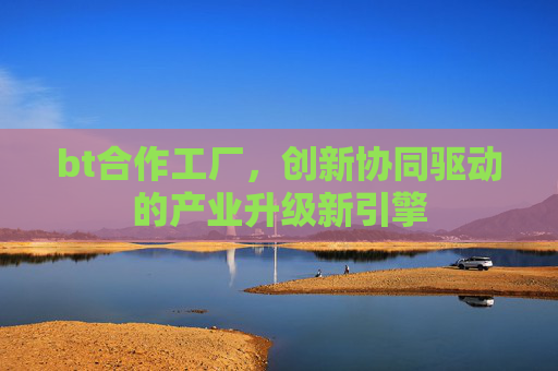 bt合作工厂，创新协同驱动的产业升级新引擎