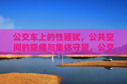 公交车上的性骚扰，公共空间的隐痛与集体守望，公交性骚扰，公共空间的隐痛与集体守望