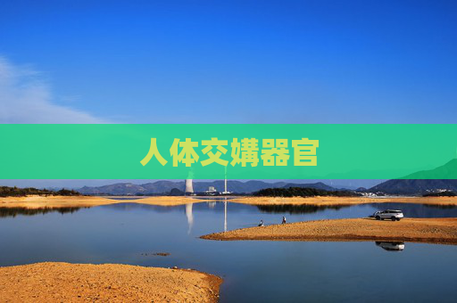 人体交媾器官 人体交媾器官
