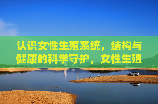 认识女性生殖系统，结构与健康的科学守护，女性生殖系统，结构与健康的科学守护