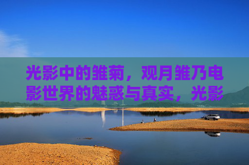 光影中的雏菊,观月雏乃电影世界的魅惑与真实,光影雏菊,观月雏乃的电影魅惑与真实 光影中的雏菊,观月雏乃电影世界的魅惑与真实,光影雏菊,观月雏乃的电影魅惑与真实