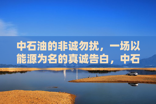 中石油的非诚勿扰，一场以能源为名的真诚告白，中石油的非诚勿扰，能源为名的真诚告白