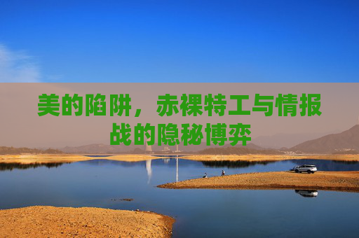 美的陷阱,赤裸特工与情报战的隐秘博弈 美的陷阱,赤裸特工与情报战的隐秘博弈