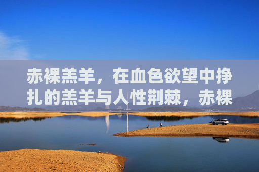 赤裸羔羊，在血色欲望中挣扎的羔羊与人性荆棘，赤裸羔羊，血色欲望与人性荆棘的挣扎
