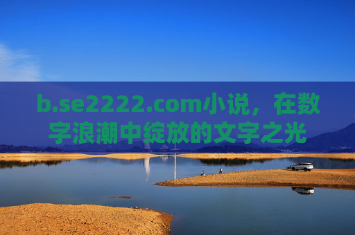 b.se2222.com小说，在数字浪潮中绽放的文字之光