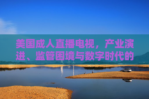 美国成人直播电视,产业演进、监管困境与数字时代的转型,美国成人直播电视,产业演进、监管困境与数字时代转型 美国成人直播电视,产业演进、监管困境与数字时代的转型,美国成人直播电视,产业演进、监管困境与数字时代转型