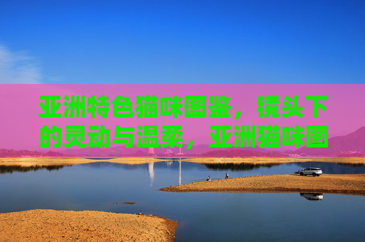 亚洲特色猫咪图鉴,镜头下的灵动与温柔,亚洲猫咪图鉴,镜头下的灵动与温柔 亚洲特色猫咪图鉴,镜头下的灵动与温柔,亚洲猫咪图鉴,镜头下的灵动与温柔