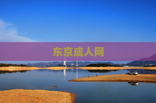 东京成人网 东京成人网