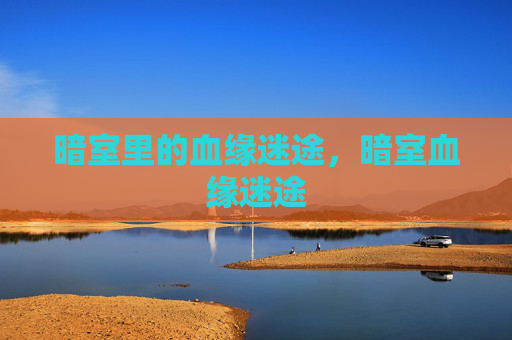 暗室里的血缘迷途,暗室血缘迷途 暗室里的血缘迷途,暗室血缘迷途