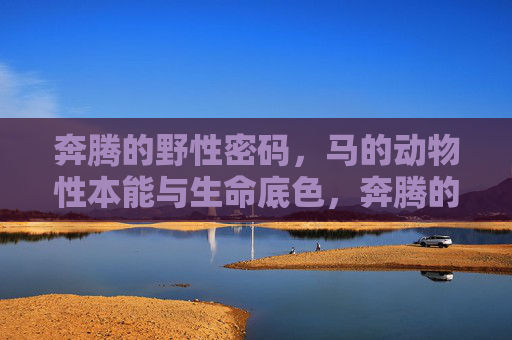 奔腾的野性密码,马的动物性本能与生命底色,奔腾的野性密码,马的本能与生命底色 奔腾的野性密码,马的动物性本能与生命底色,奔腾的野性密码,马的本能与生命底色