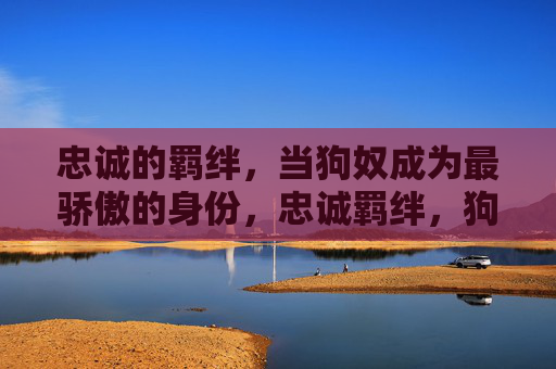 忠诚的羁绊，当狗奴成为最骄傲的身份，忠诚羁绊，狗奴的骄傲身份