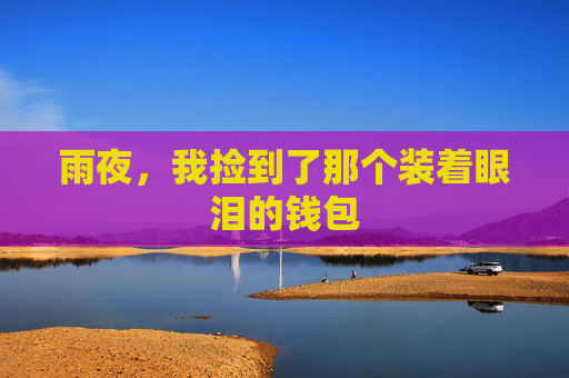 雨夜,我捡到了那个装着眼泪的钱包 雨夜,我捡到了那个装着眼泪的钱包