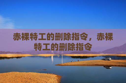 赤裸特工的删除指令,赤裸特工的删除指令 赤裸特工的删除指令,赤裸特工的删除指令