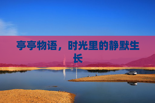 亭亭物语,时光里的静默生长 亭亭物语,时光里的静默生长