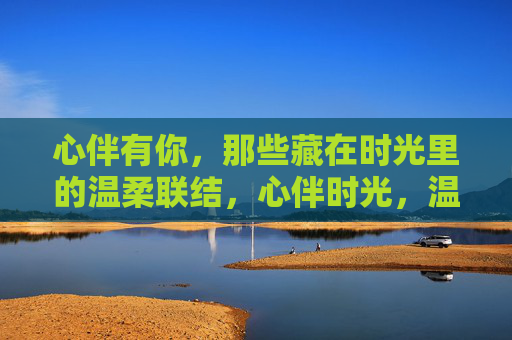 心伴有你，那些藏在时光里的温柔联结，心伴时光，温柔永存