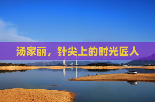 汤家丽,针尖上的时光匠人 汤家丽,针尖上的时光匠人