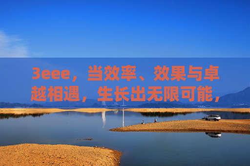 3eee，当效率、效果与卓越相遇，生长出无限可能，3eee，效率效果卓越，生长无限可能