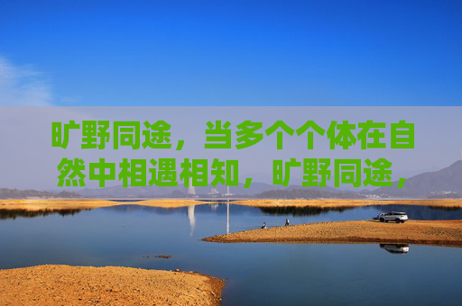 旷野同途，当多个个体在自然中相遇相知，旷野同途，相逢成知己