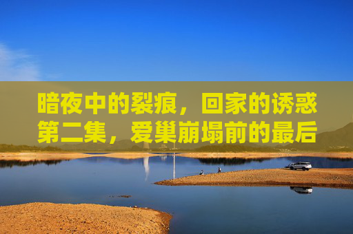 暗夜中的裂痕，回家的诱惑第二集，爱巢崩塌前的最后喘息，暗夜裂痕，爱巢崩塌前的最后喘息