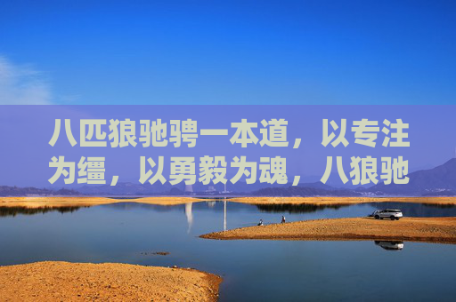 八匹狼驰骋一本道,以专注为缰,以勇毅为魂,八狼驰骋本道,专注缰,勇毅魂 八匹狼驰骋一本道,以专注为缰,以勇毅为魂,八狼驰骋本道,专注缰,勇毅魂