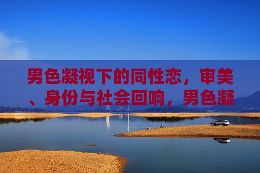 男色凝视下的同性恋,审美、身份与社会回响,男色凝视下的同性恋,审美、身份与社会回响 男色凝视下的同性恋,审美、身份与社会回响,男色凝视下的同性恋,审美、身份与社会回响