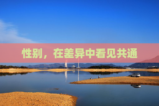 性别，在差异中看见共通