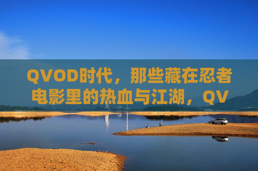 QVOD时代,那些藏在忍者电影里的热血与江湖,QVOD忍者江湖,热血藏影 QVOD时代,那些藏在忍者电影里的热血与江湖,QVOD忍者江湖,热血藏影