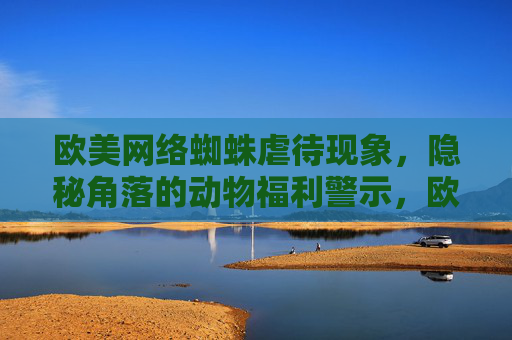 欧美网络蜘蛛虐待现象,隐秘角落的动物福利警示,欧美网络蜘蛛虐待,隐秘角落的动物福利警示 欧美网络蜘蛛虐待现象,隐秘角落的动物福利警示,欧美网络蜘蛛虐待,隐秘角落的动物福利警示